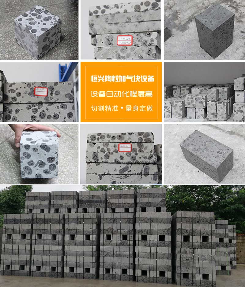 陶粒加氣混凝(ning)土砌塊